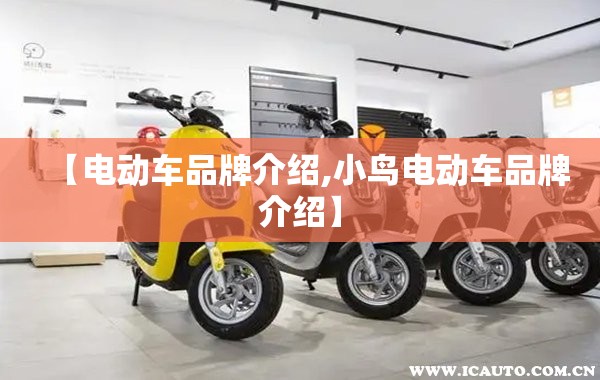 【电动车品牌介绍,小鸟电动车品牌介绍】