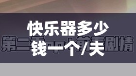 快乐器多少钱一个/夫妻快乐器多少钱一套