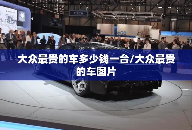 大众最贵的车多少钱一台/大众最贵的车图片