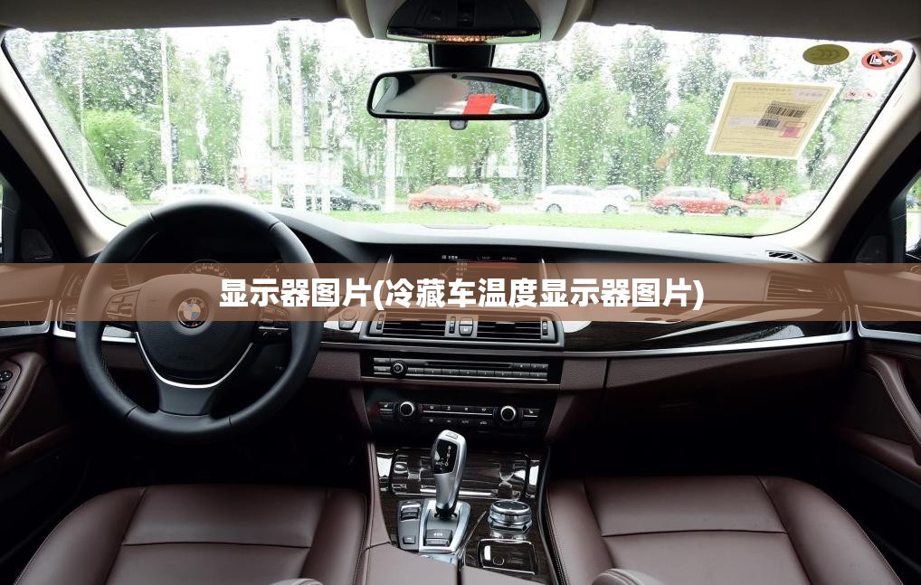 显示器图片(冷藏车温度显示器图片)
