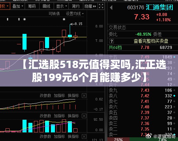 【汇选股518元值得买吗,汇正选股199元6个月能赚多少】