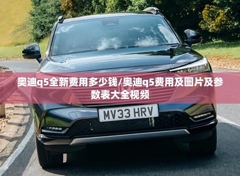 奥迪q5全新费用多少钱/奥迪q5费用及图片及参数表大全视频 奥迪q5全新费用多少钱/奥迪q5费用及图片及参数表大全视频