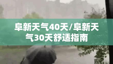 阜新天气40天/阜新天气30天舒适指南
