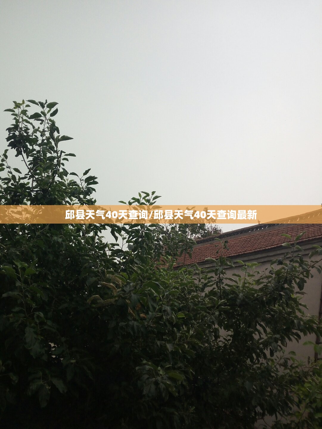 邱县天气40天查询/邱县天气40天查询最新