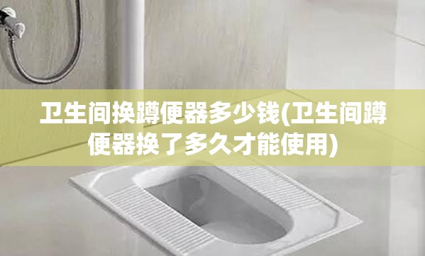 卫生间换蹲便器多少钱(卫生间蹲便器换了多久才能使用)