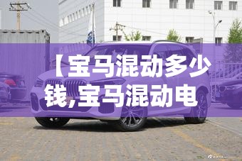 【宝马混动多少钱,宝马混动电池多少钱】