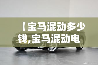 【宝马混动多少钱,宝马混动电池多少钱】