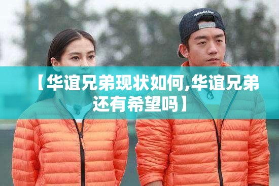 【华谊兄弟现状如何,华谊兄弟还有希望吗】