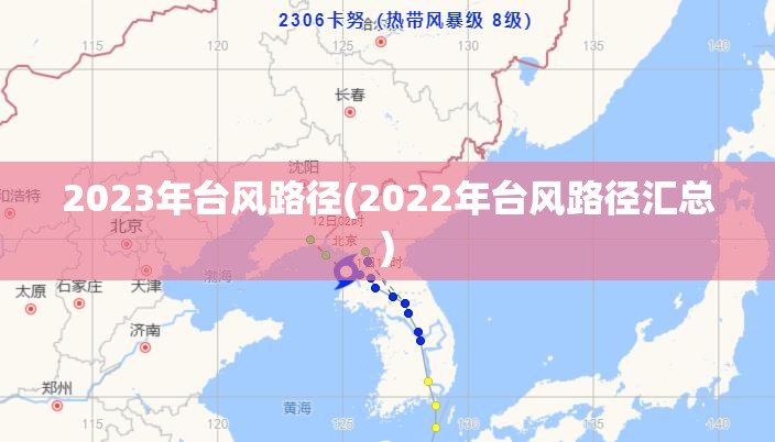 2023年台风路径(2022年台风路径汇总)