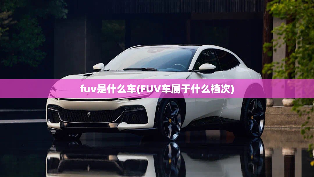 fuv是什么车(FUV车属于什么档次)