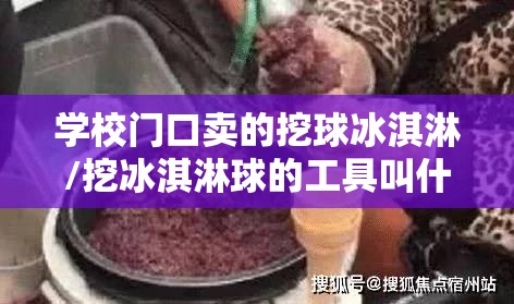 学校门口卖的挖球冰淇淋/挖冰淇淋球的工具叫什么