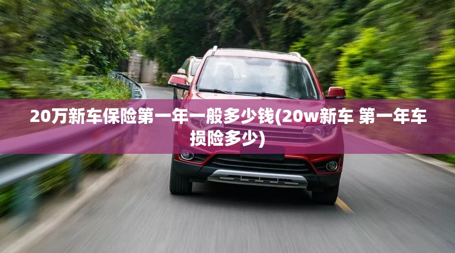 20万新车保险第一年一般多少钱(20w新车 第一年车损险多少)