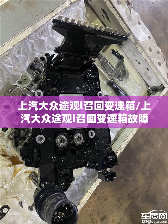 300778股票/300786股票