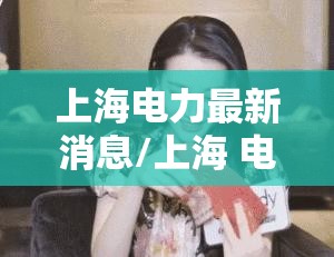 上海电力最新消息/上海 电力