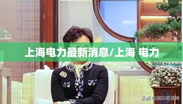 上海电力最新消息/上海 电力