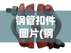 钢管扣件图片(钢管扣件种类图片) 钢管扣件图片(钢管扣件种类图片)