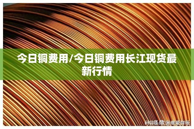 今日铜费用/今日铜费用长江现货最新行情 今日铜费用/今日铜费用长江现货最新行情