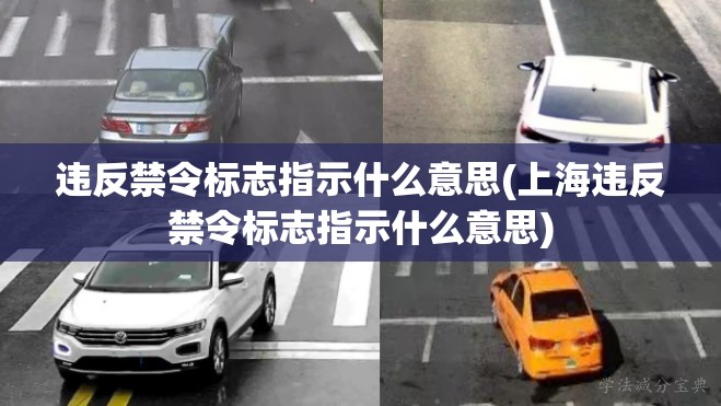 违反禁令标志指示什么意思(上海违反禁令标志指示什么意思)
