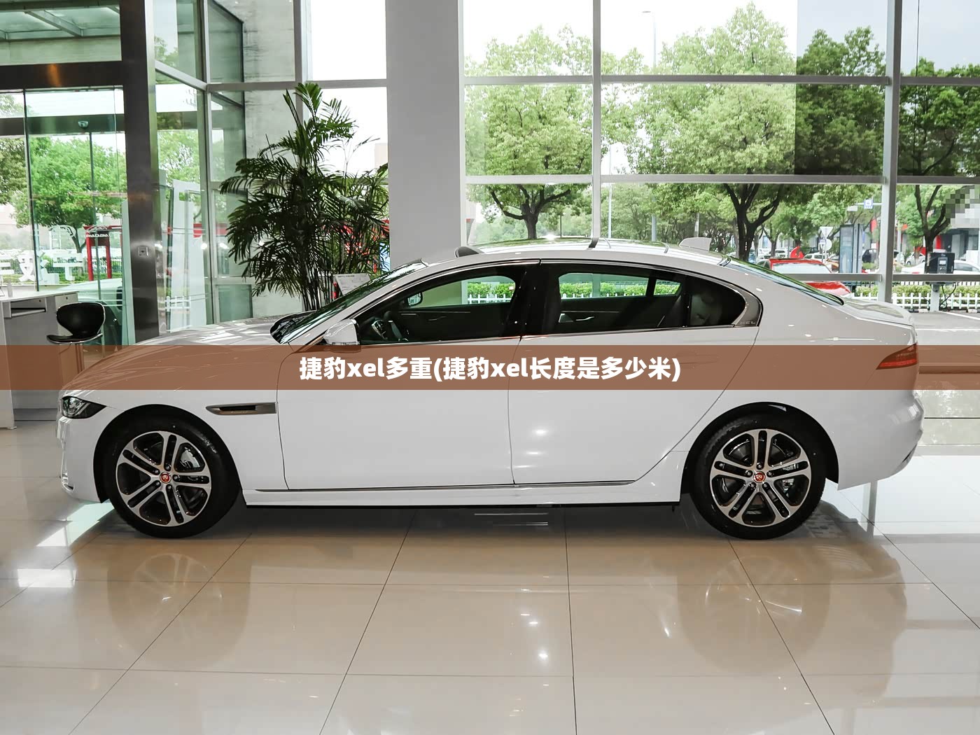捷豹xel多重(捷豹xel长度是多少米)