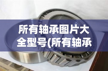 所有轴承图片大全型号(所有轴承图片大全型号及费用)