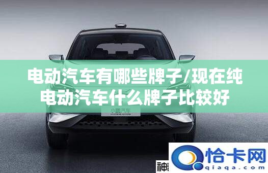 电动汽车有哪些牌子/现在纯电动汽车什么牌子比较好