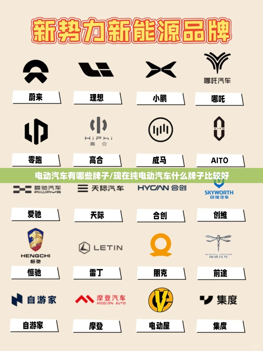 电动汽车有哪些牌子/现在纯电动汽车什么牌子比较好