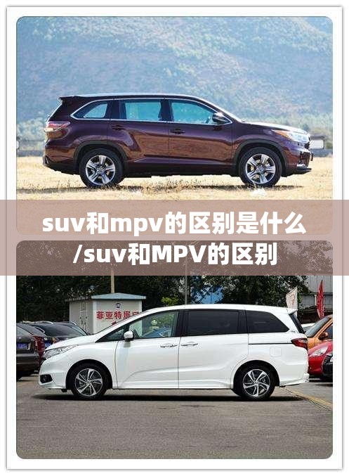 suv和mpv的区别是什么/suv和MPV的区别