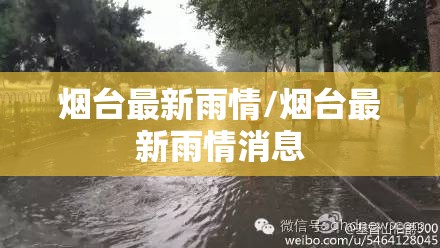 烟台最新雨情/烟台最新雨情消息