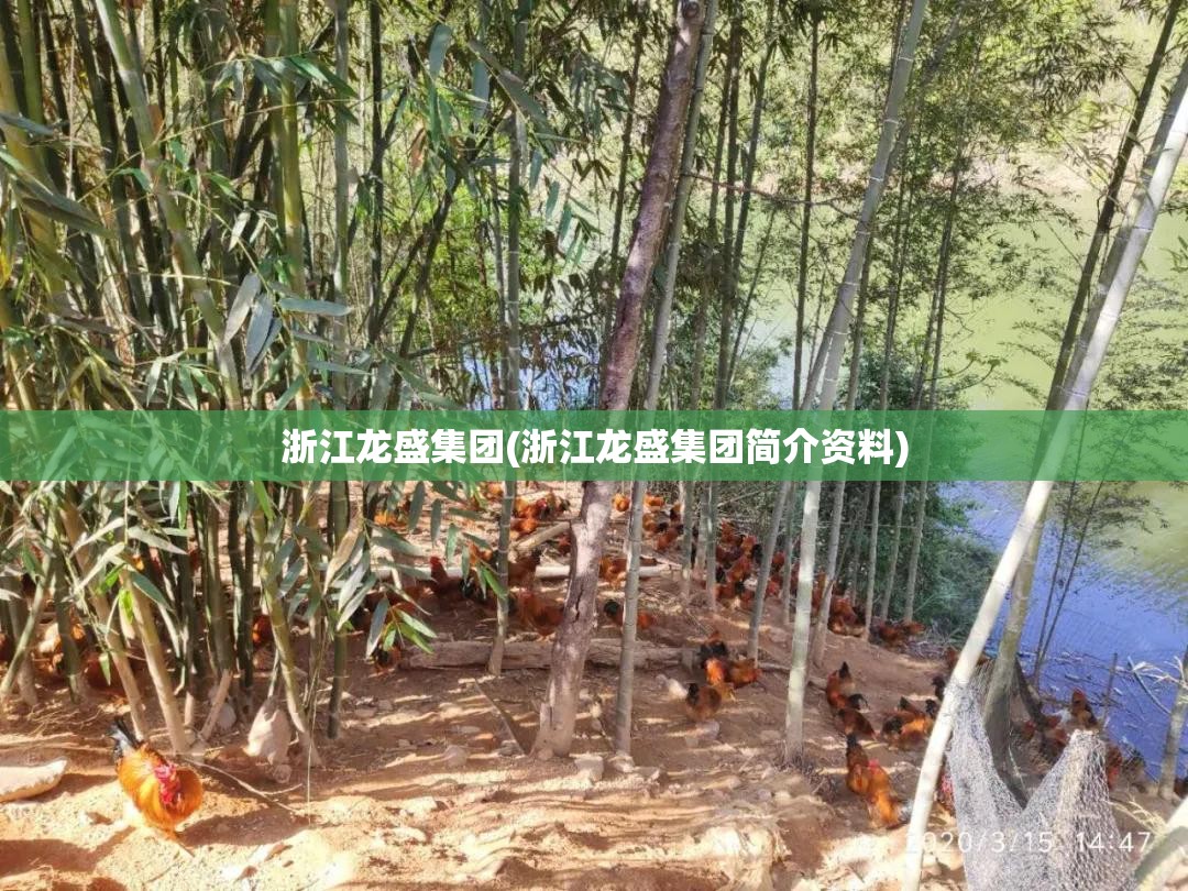浙江龙盛集团(浙江龙盛集团简介资料) 浙江龙盛集团(浙江龙盛集团简介资料)