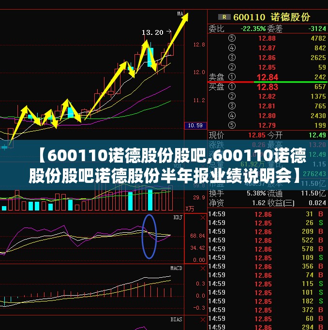 【600110诺德股份股吧,600110诺德股份股吧诺德股份半年报业绩说明会】