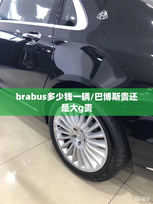 brabus多少钱一辆/巴博斯贵还是大g贵