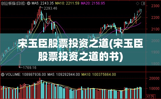 宋玉臣股票投资之道(宋玉臣股票投资之道的书)