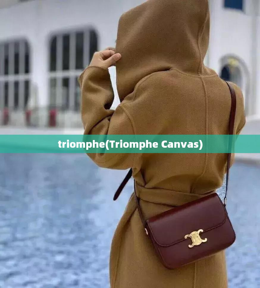 triomphe(Triomphe Canvas) triomphe(Triomphe Canvas)