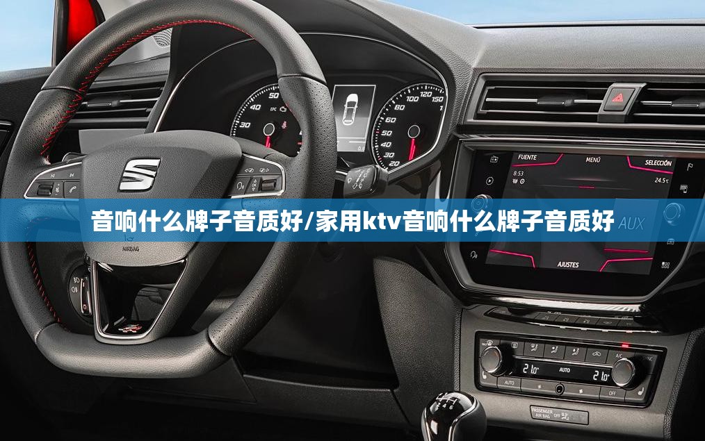 音响什么牌子音质好/家用ktv音响什么牌子音质好