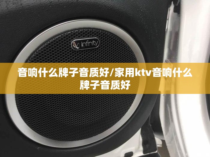 音响什么牌子音质好/家用ktv音响什么牌子音质好