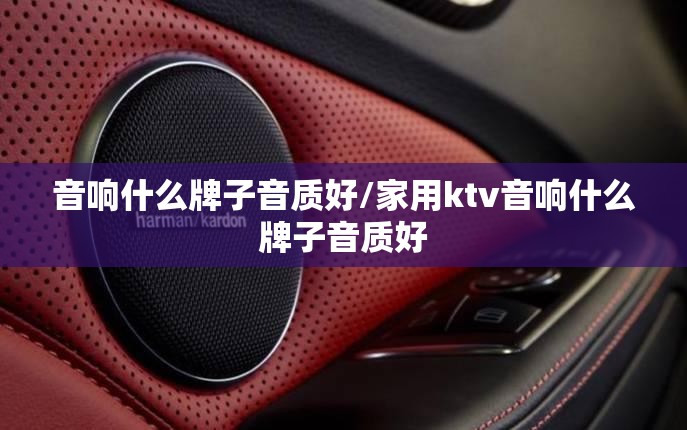 音响什么牌子音质好/家用ktv音响什么牌子音质好