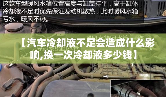 【汽车冷却液不足会造成什么影响,换一次冷却液多少钱】