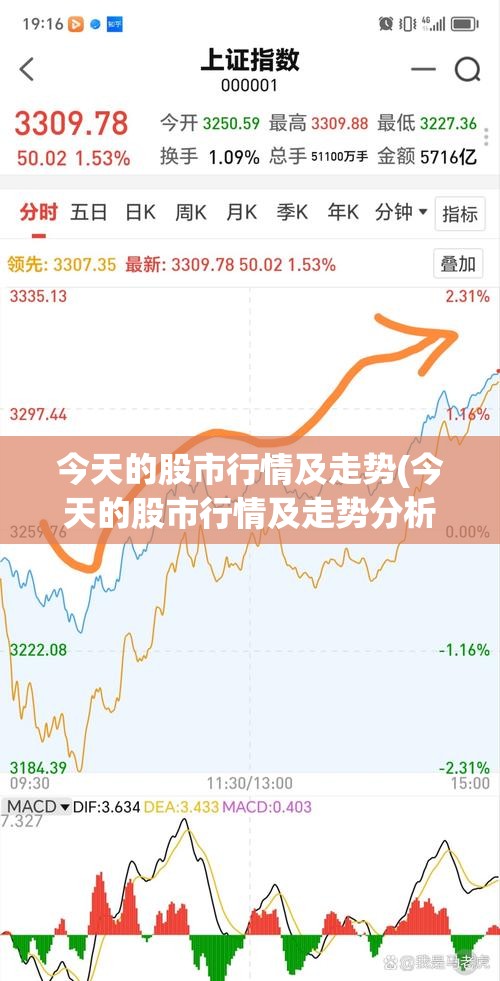 今天的股市行情及走势(今天的股市行情及走势分析)