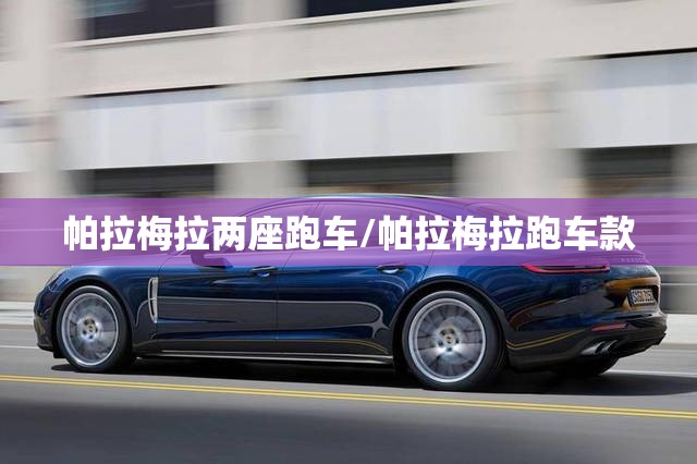 帕拉梅拉两座跑车/帕拉梅拉跑车款