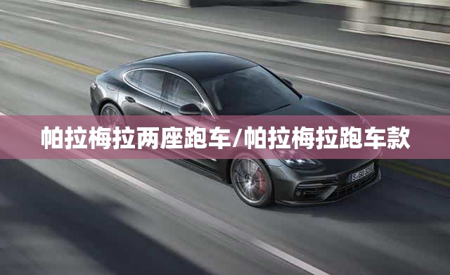 帕拉梅拉两座跑车/帕拉梅拉跑车款