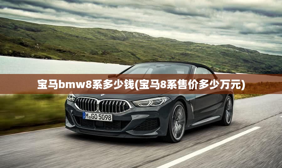 宝马bmw8系多少钱(宝马8系售价多少万元)