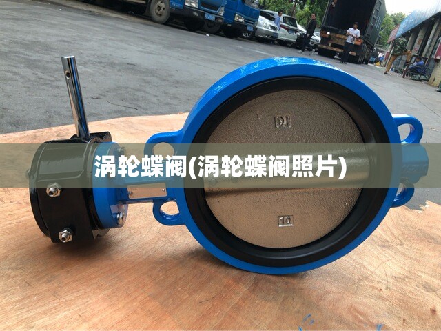 涡轮蝶阀(涡轮蝶阀照片)