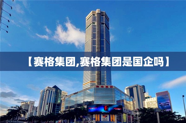 【赛格集团,赛格集团是国企吗】