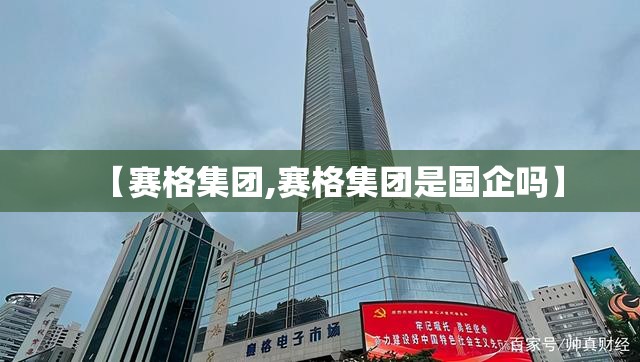 【赛格集团,赛格集团是国企吗】