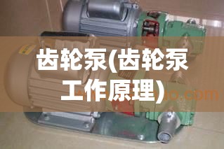 齿轮泵(齿轮泵工作原理)