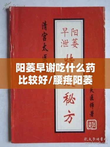 阳萎早谢吃什么药比较好/腰疼阳萎早谢吃什么药比较好