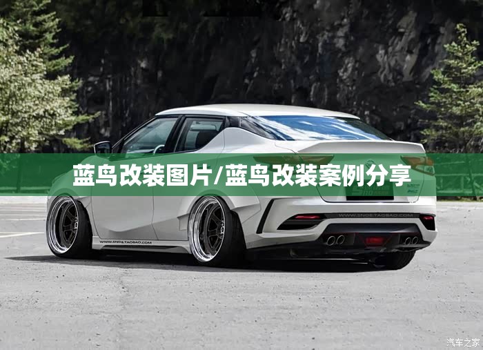蓝鸟改装图片/蓝鸟改装案例分享