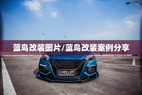 蓝鸟改装图片/蓝鸟改装案例分享