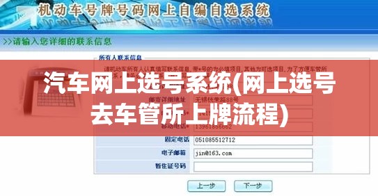 汽车网上选号系统(网上选号去车管所上牌流程)