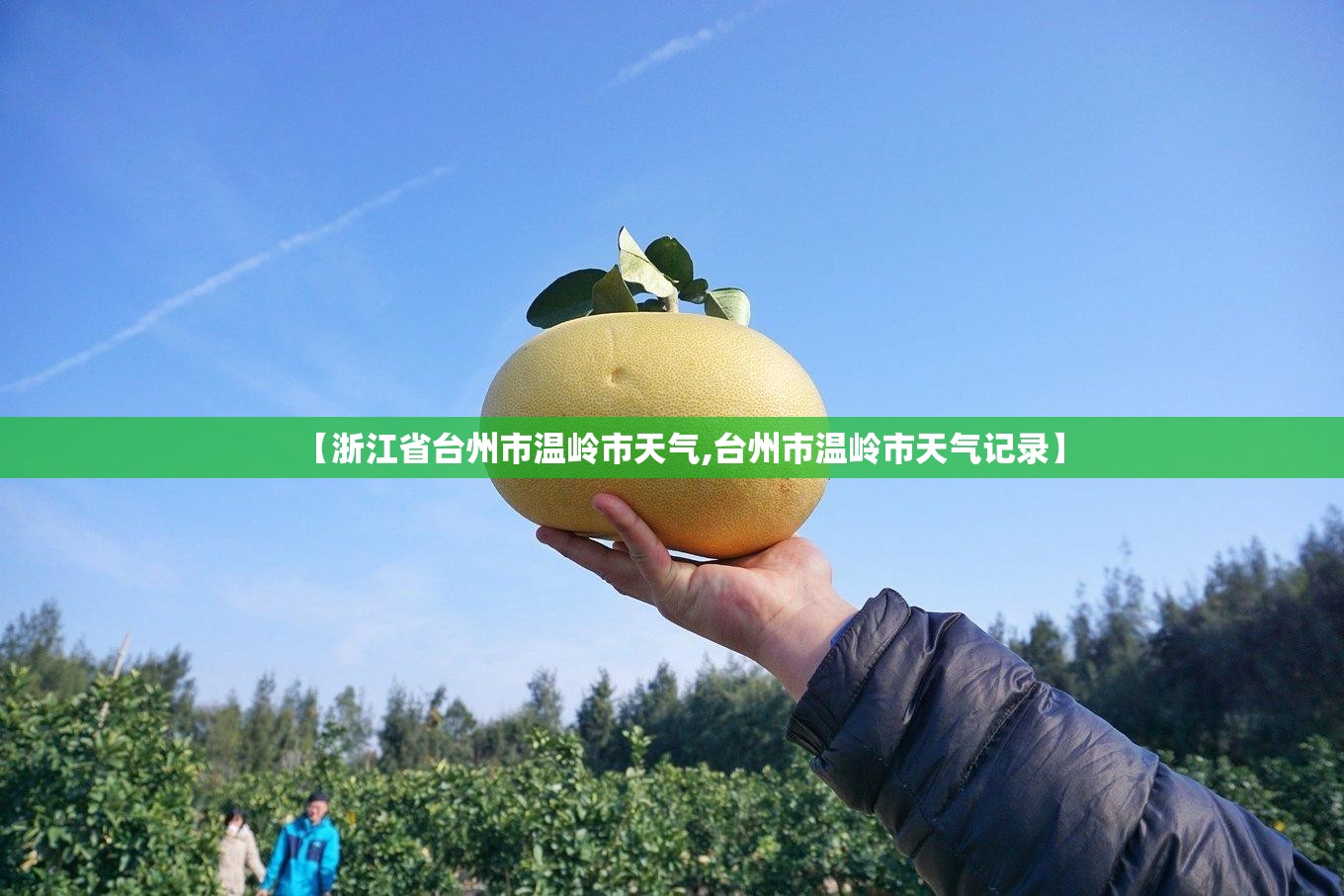 【浙江省台州市温岭市天气,台州市温岭市天气记录】